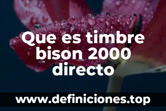 Qué es el costo directo en precios unitarios 5 Que es timbre bison 2000 directo