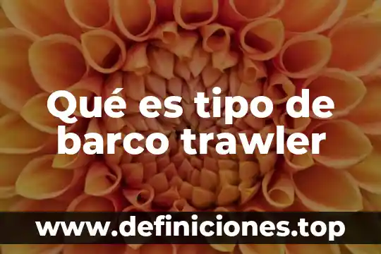 Que es un sistema en si 3 Qué es tipo de barco trawler