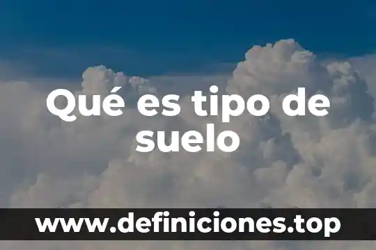 Tipo de conector que es el reloj inteligente 6 Qué es tipo de suelo