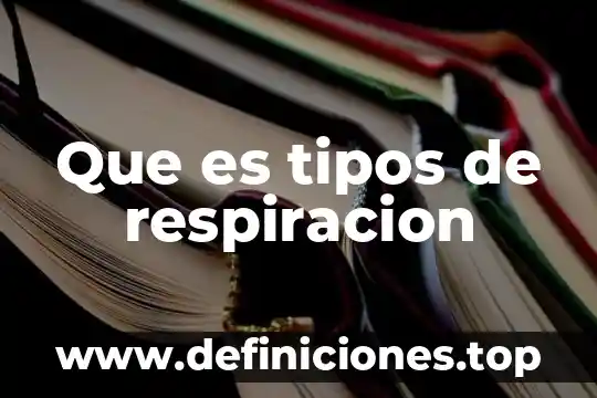 Que es tipos de respiracion