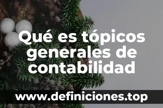Tópicos que es estudio de mercado 5 Qué es tópicos generales de contabilidad