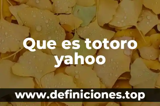 Que es totoro yahoo