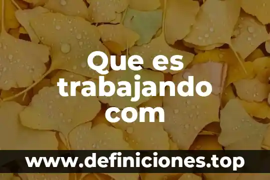 Producto adicionado com sucesso que es 8 Que es trabajando com