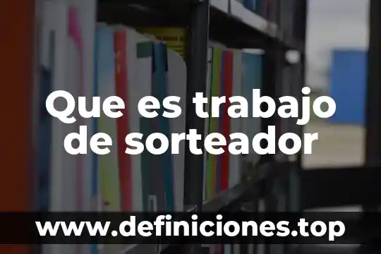 Que es el puerto de audio de una computadora 8 Que es trabajo de sorteador