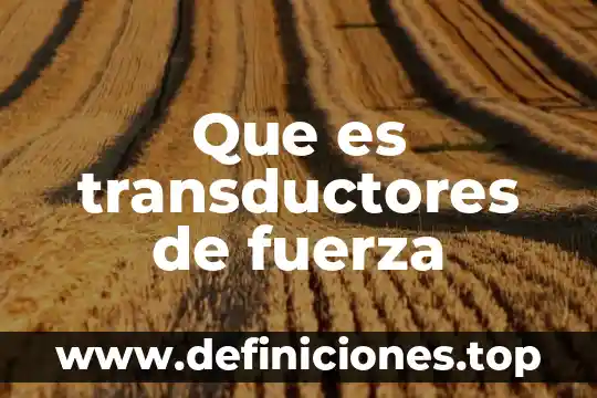 Que es motivacion de la fuerza de ventas 8 Que es transductores de fuerza
