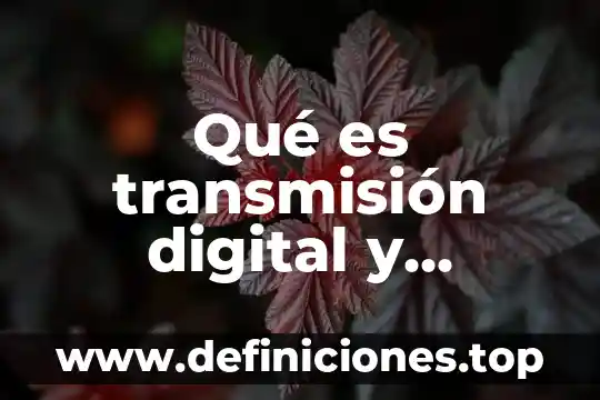 Qué es transmisión digital y analógica