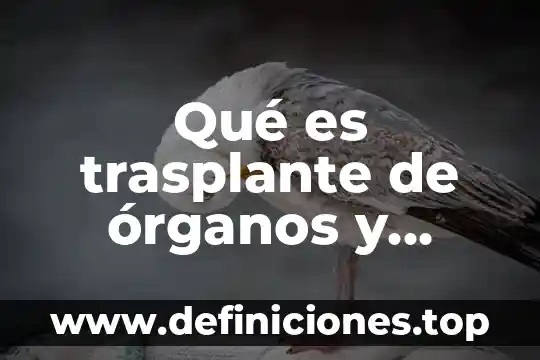 Que es el trasplante de organos y tejidos 4 Qué es trasplante de órganos y tejidos
