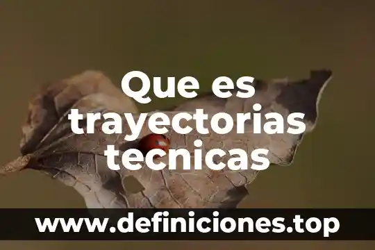 Que es trayectorias tecnicas