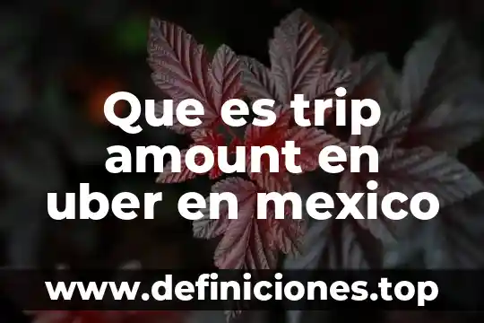 Que es trip amount en uber en mexico
