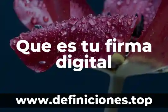 Que es una firma digital en seguridad computacional 4 Que es tu firma digital