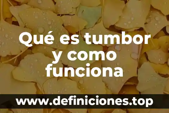 Que es un servidor como funciona y que tipos 6 Qu茅 es tumbor y como funciona