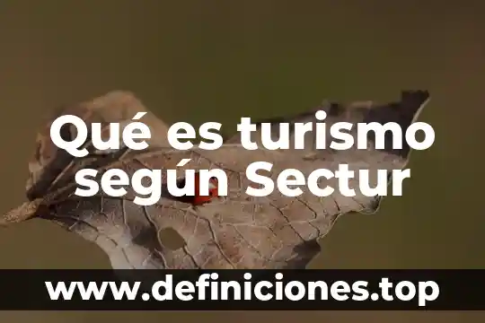 Qué es turismo según Sectur