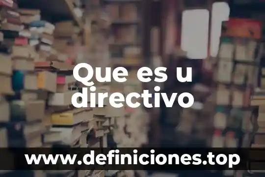 Qué es un ppi directivo 3 Que es u directivo