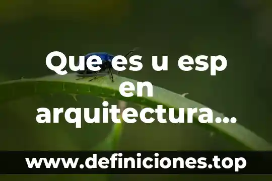Que es es una red de computadoras 6 Que es u esp en arquitectura de computadoras