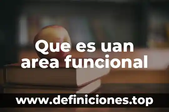 Que es el articulo de uan dibugcion 5 Que es uan area funcional