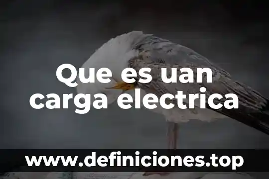 Que es uan area funcional 5 Que es uan carga electrica