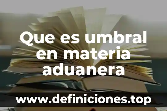 Que es ambito de la ley aduanera 8 Que es umbral en materia aduanera