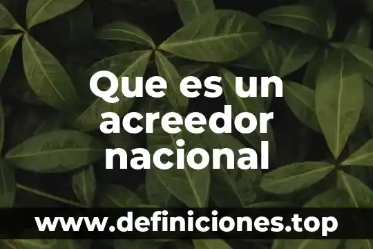 Acreedor registral que es 3 Que es un acreedor nacional