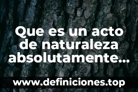 Qué es un pliego de posiciones en materia mercantil 8 Que es un acto de naturaleza absolutamente mercantil yahoo