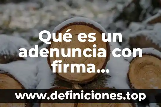 Qué es un adenuncia con firma electrónica