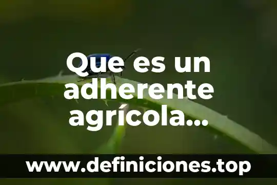 Para que es el seguro agricola 7 Que es un adherente agrícola ejemplos