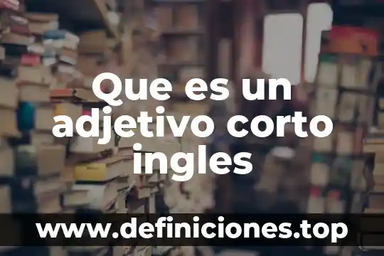 Qué es más corto l2 cielos lunares o año salar 8 Que es un adjetivo corto ingles