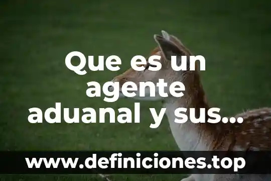 Proceso de despacho aduanal que es 3 Que es un agente aduanal y sus principales funciones