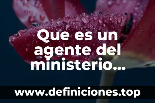 Declaración ante ministerio público que es 3 Que es un agente del ministerio publico federal