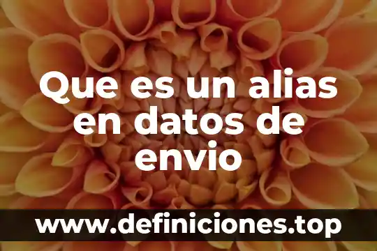 Que es alias de tarjeta 3 Que es un alias en datos de envio