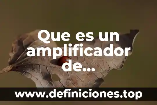 Que es un amplificador de instrumentación libro