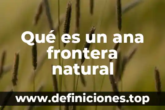 Que es una frontera artificial de mexico y usa 5 Qué es un ana frontera natural