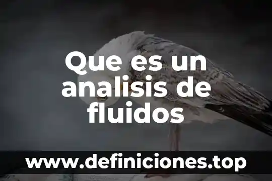 Que es balance de masa mecanica de fluidos 4 Que es un analisis de fluidos