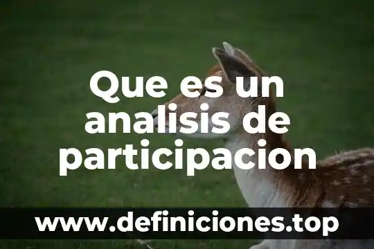 Que es participacion social dentro de una empresa 8 Que es un analisis de participacion