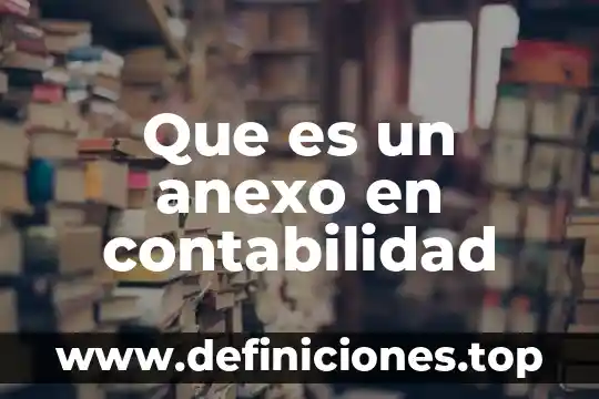 Que es un anexo y sus tipos 4 Que es un anexo en contabilidad