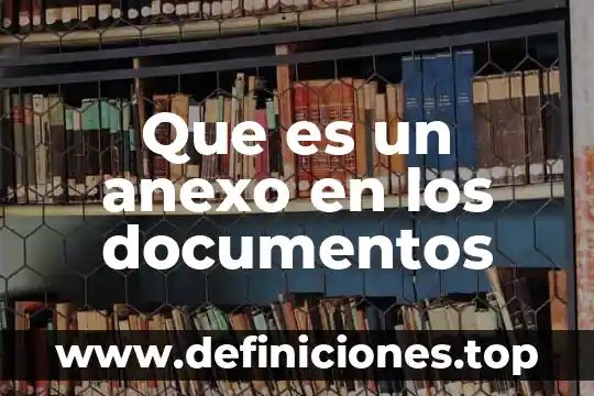 Que es un anexo y sus tipos 5 Que es un anexo en los documentos