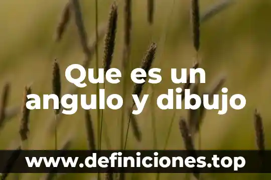 Que es un dibujo aspero 7 Que es un angulo y dibujo