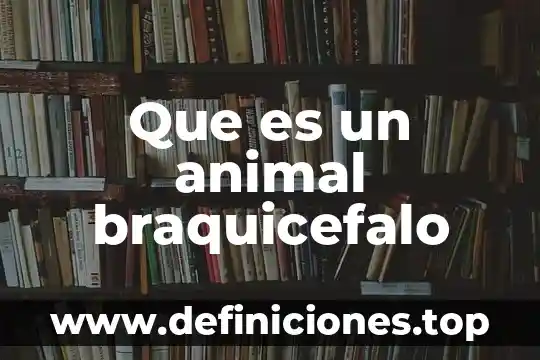 Que es sacrificio animal 8 Que es un animal braquicefalo