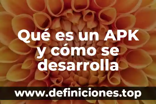 Qué es el sentido numérico y cómo se desarrolla 3 Qué es un APK y cómo se desarrolla