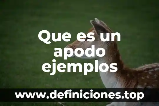 Lo malo de libra es que es muy orgulloso 3 Que es un apodo ejemplos