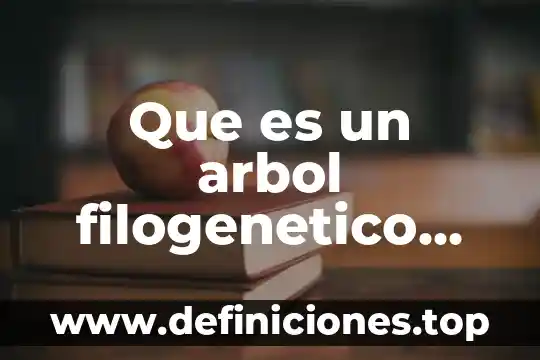 Que es lo que hace un gerente de un negocio 3 Que es un arbol filogenetico para que se hace