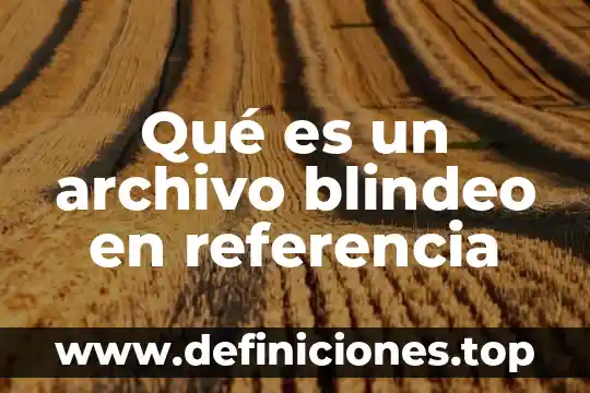 Que es un nombre de archivo 8 Qué es un archivo blindeo en referencia