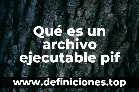 Que es conflicto de competencia procesal 4 Qué es un archivo ejecutable pif