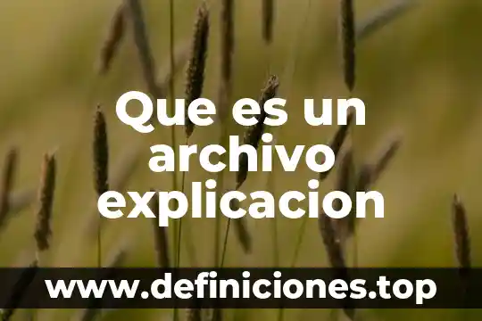 Que es la discapacidad auditiva explicacion para niños 7 Que es un archivo explicacion