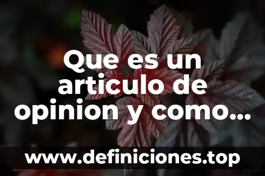 Que es un alimento articulo 4 Que es un articulo de opinion y como hacer uno