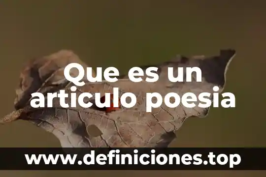 Que es poesia virtual yahoo 7 Que es un articulo poesia