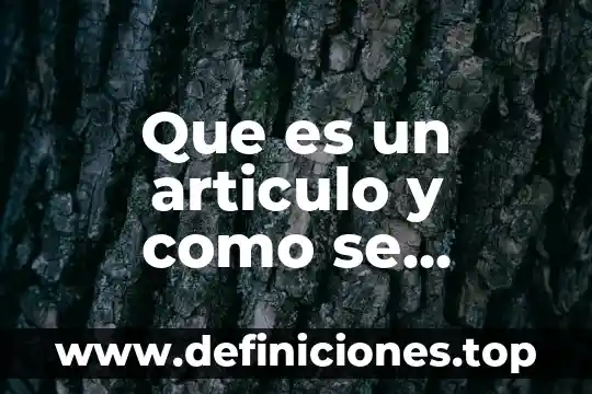 Que es el articulo y tipos 3 Que es un articulo y como se elabora