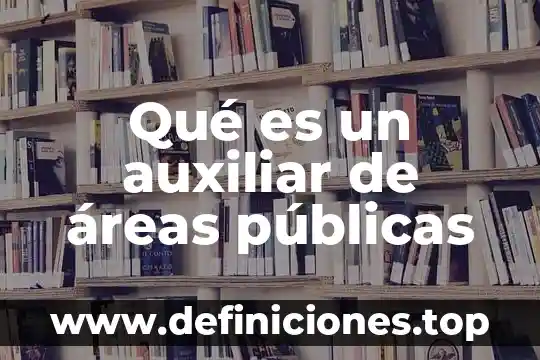 Qué es la contabilidad y finanzas públicas 8 Qué es un auxiliar de áreas públicas