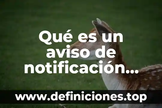 Que es un aviso comercial de una empresa 5 Qué es un aviso de notificación celular