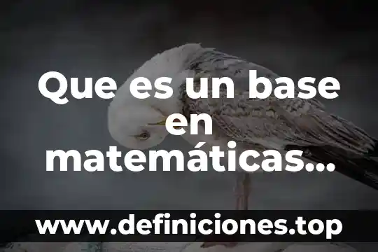 Que es un base en matemáticas de monomio