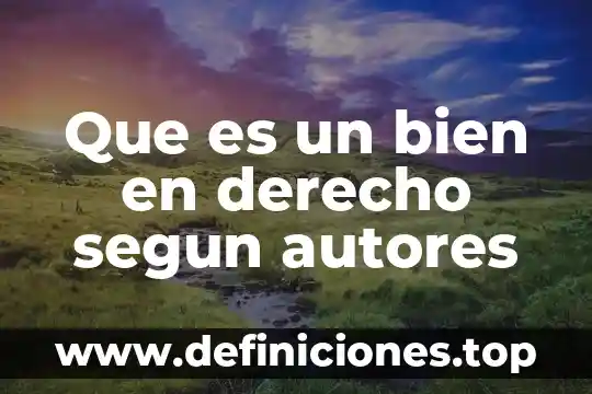 Que es la animacion sociocultural segun autores 8 Que es un bien en derecho segun autores
